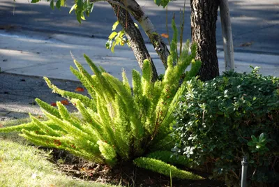 DSC_0014 (Large).JPG